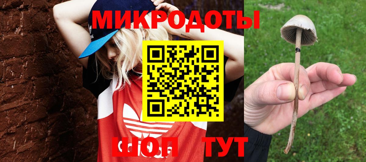 Галлюциногенные грибы Cubensis  Вход с VPN  Псилоцибиновые грибы Psilocybe  Петрозаводск 